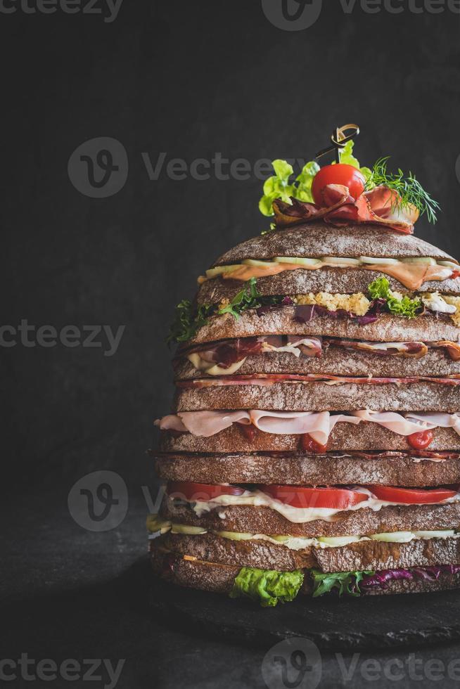 Served big sandwich photo
