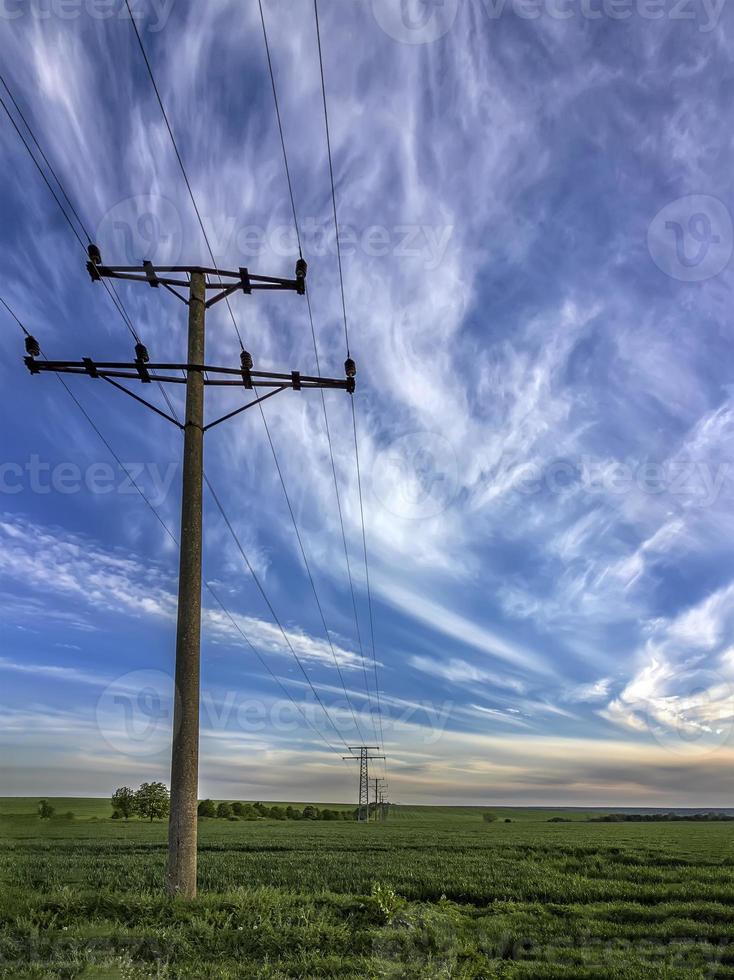 poder líneas en el campo a el campo cubierto con joven trigo foto