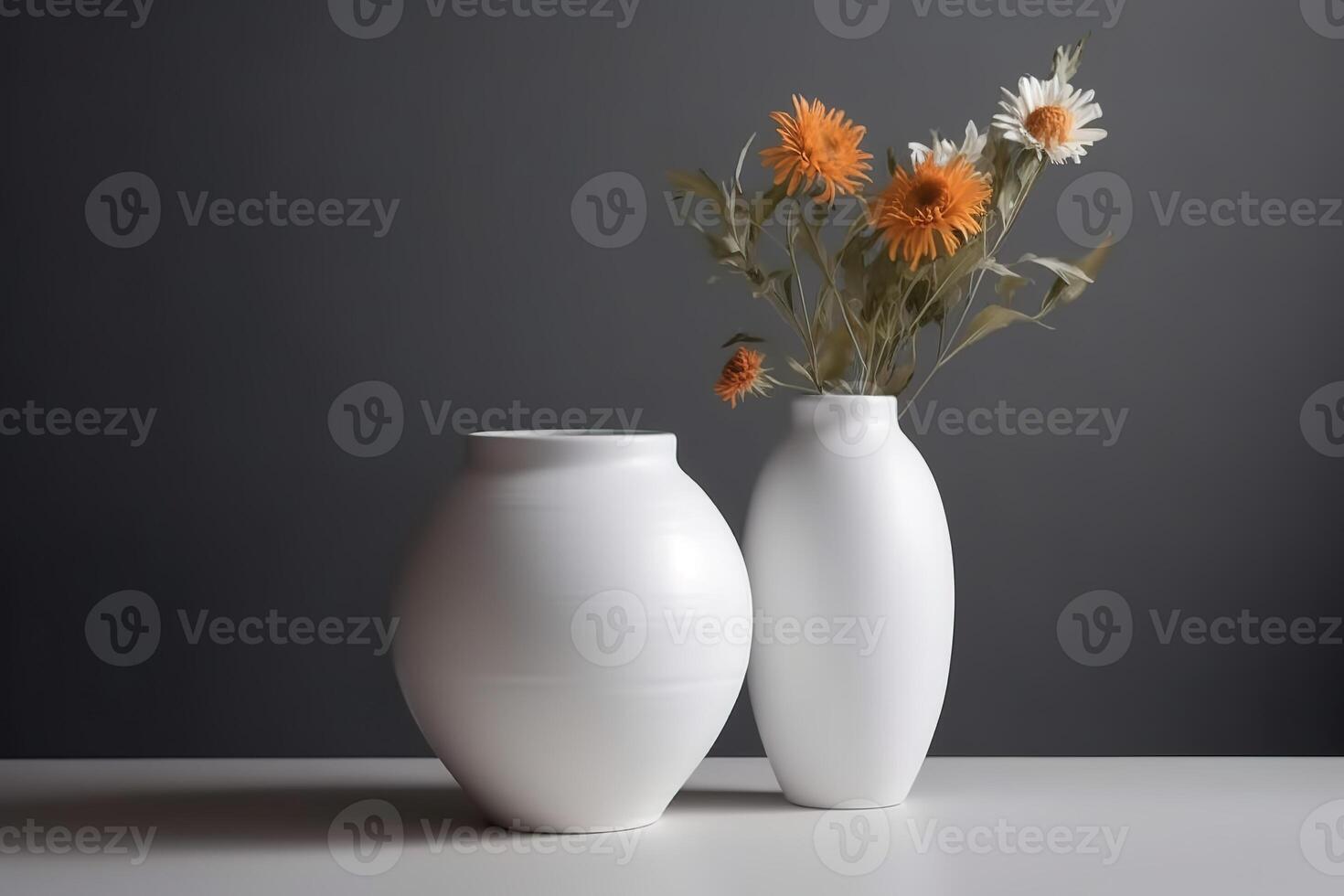 Blank White Vase for Mockup Illustration with photo