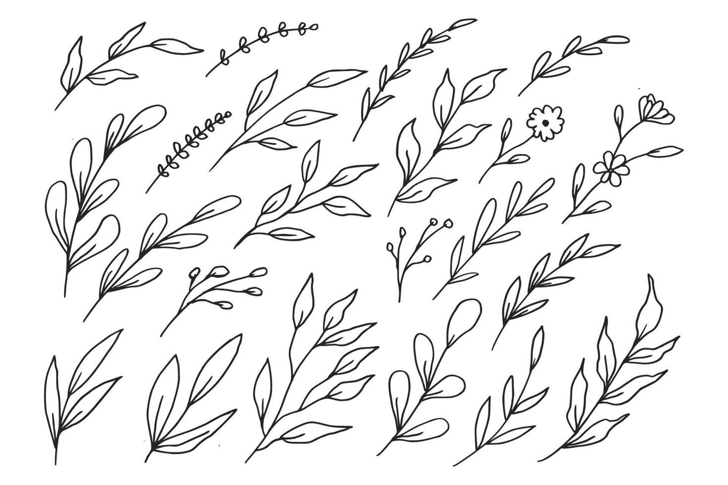 A collection of hand drawn leaves and flower decorative floral element vector