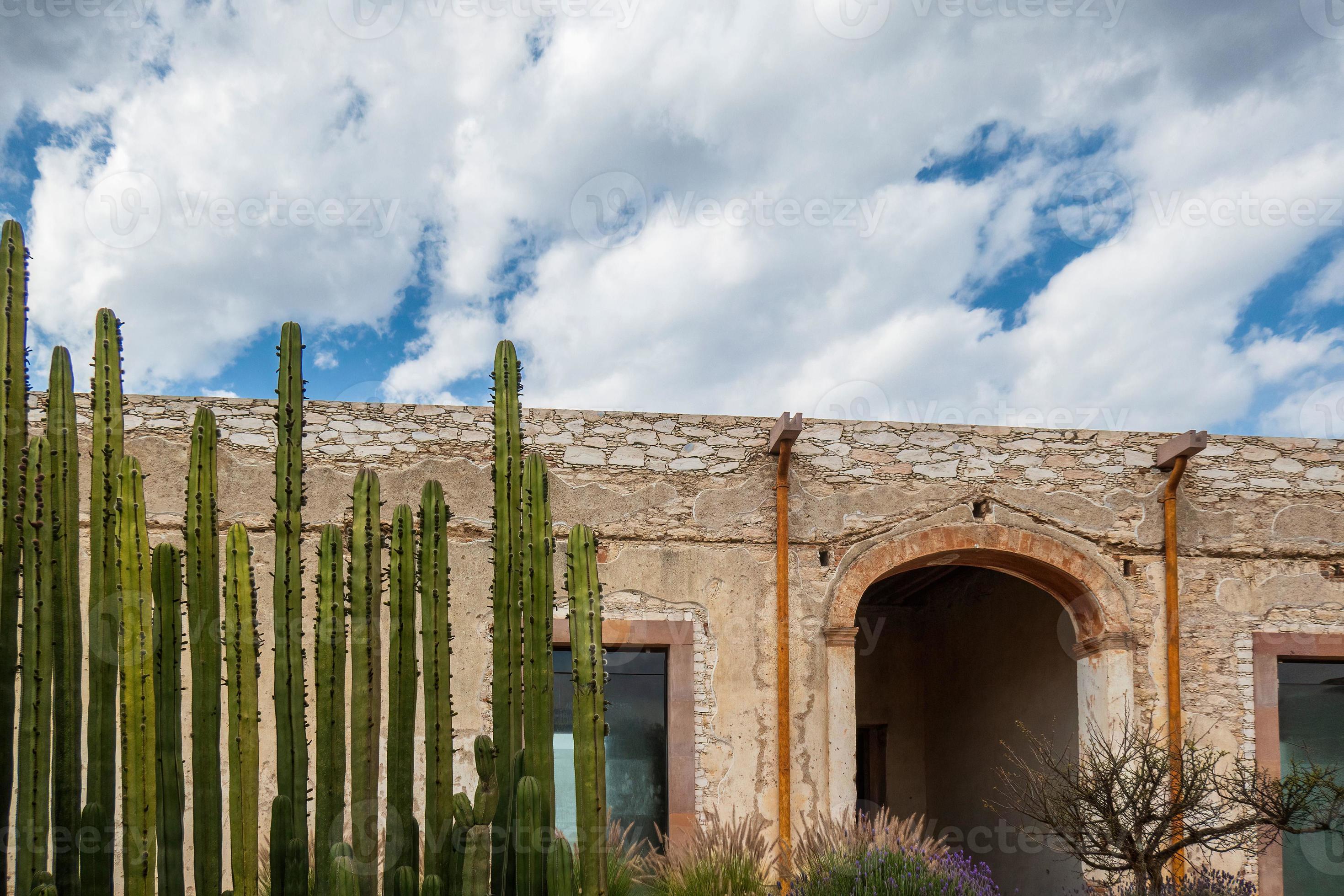 beautiful-old-rustic-mexican-house-with-cacti-and-a-blue-sky-of-white