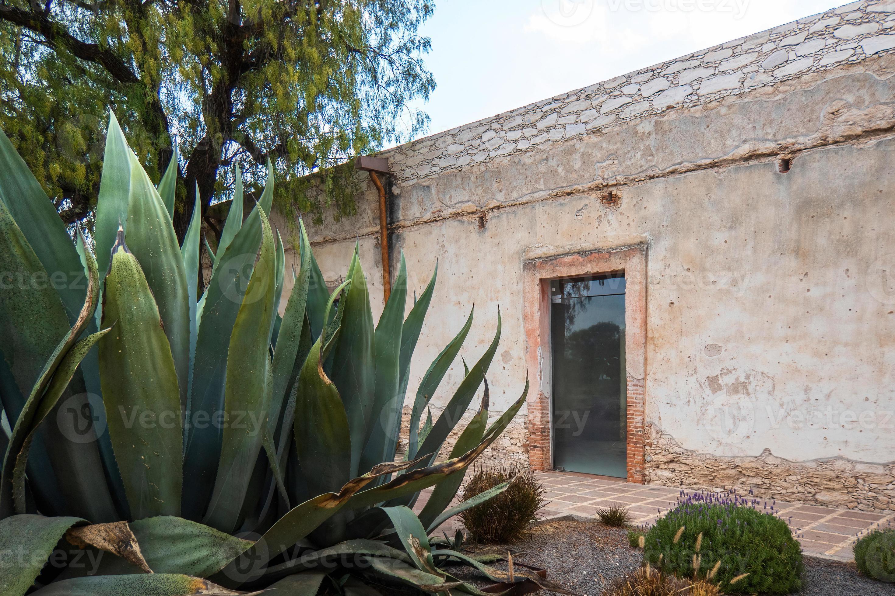 beautiful-old-rustic-mexican-house-with-cacti-and-a-blue-sky-of-white