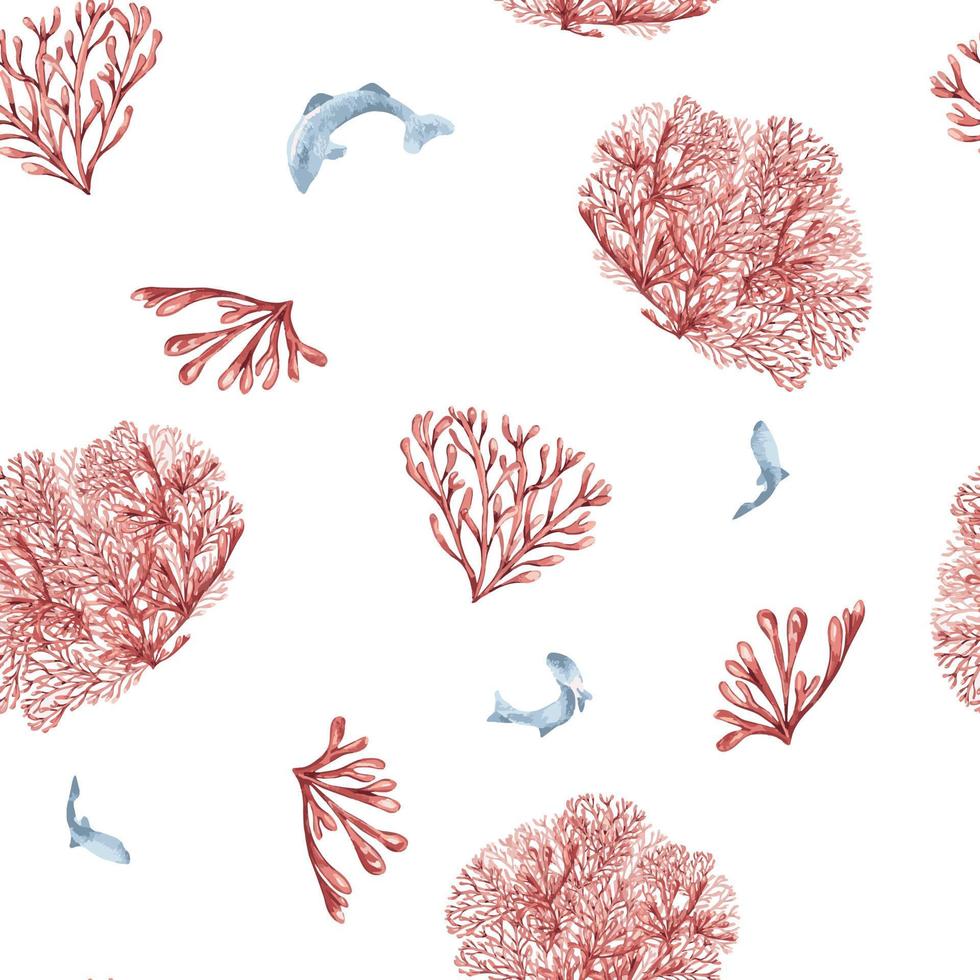 Seamless pattern of sea plants, coral watercolor isolated on white background. Pink agar agar seaweed and fish hand drawn. Design element for package, textile, paper, wrapping, marine collection vector