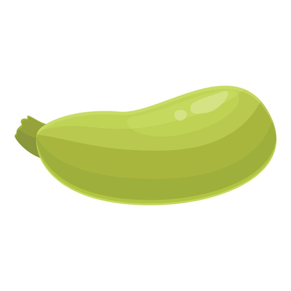 jardín comida icono dibujos animados vector. vegetal squash vector