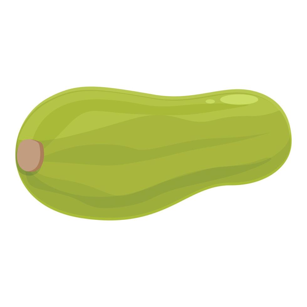 Whole zucchini icon cartoon vector. Natural organic vector