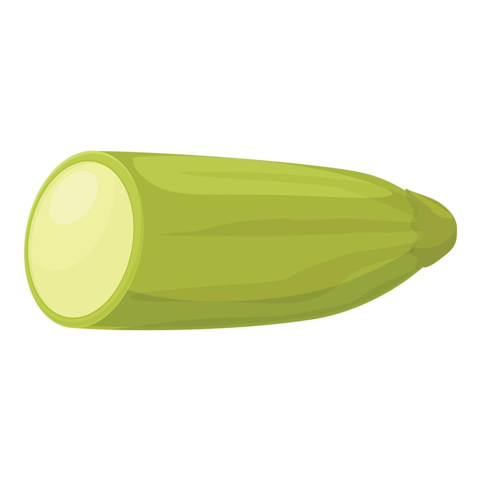 orgánico squash icono dibujos animados vector. vegetal calabacín vector