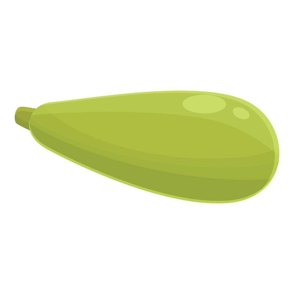 verano calabacín icono dibujos animados vector. vegetal squash vector