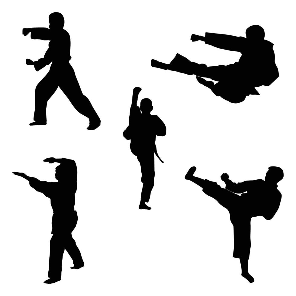 icon of man doing taekwondo kick vector