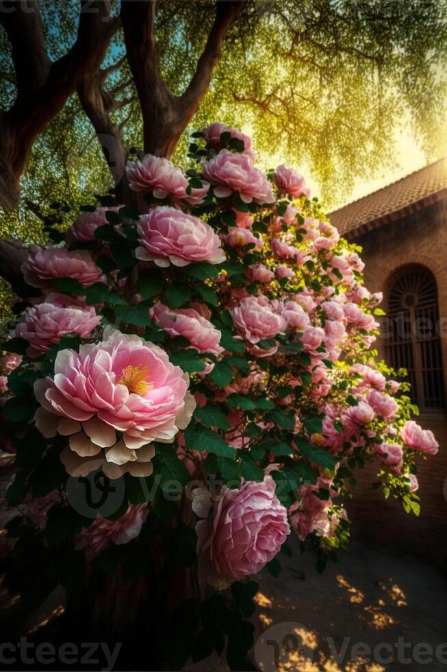 Brillo Solar y lluvia floreciente Rosa árbol. generativo ai foto