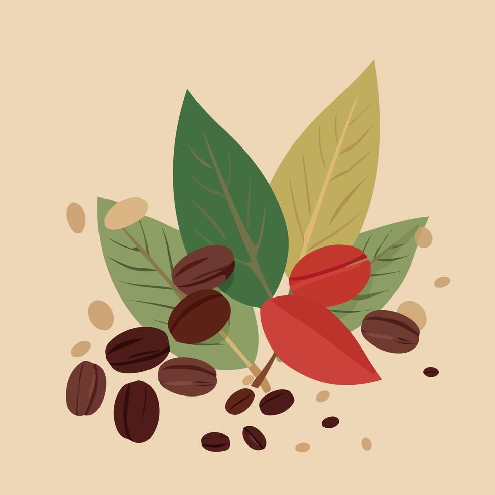 leaves and coffee beans vector