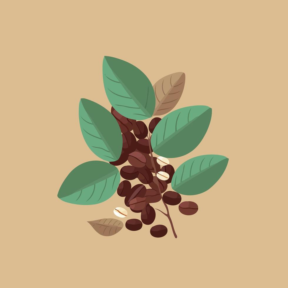 leaves and coffee beans vector