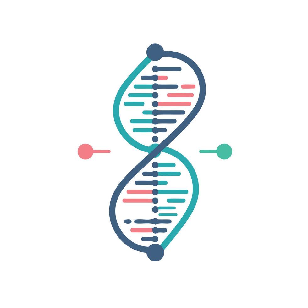 deoxyribonucleic acid double helix vector