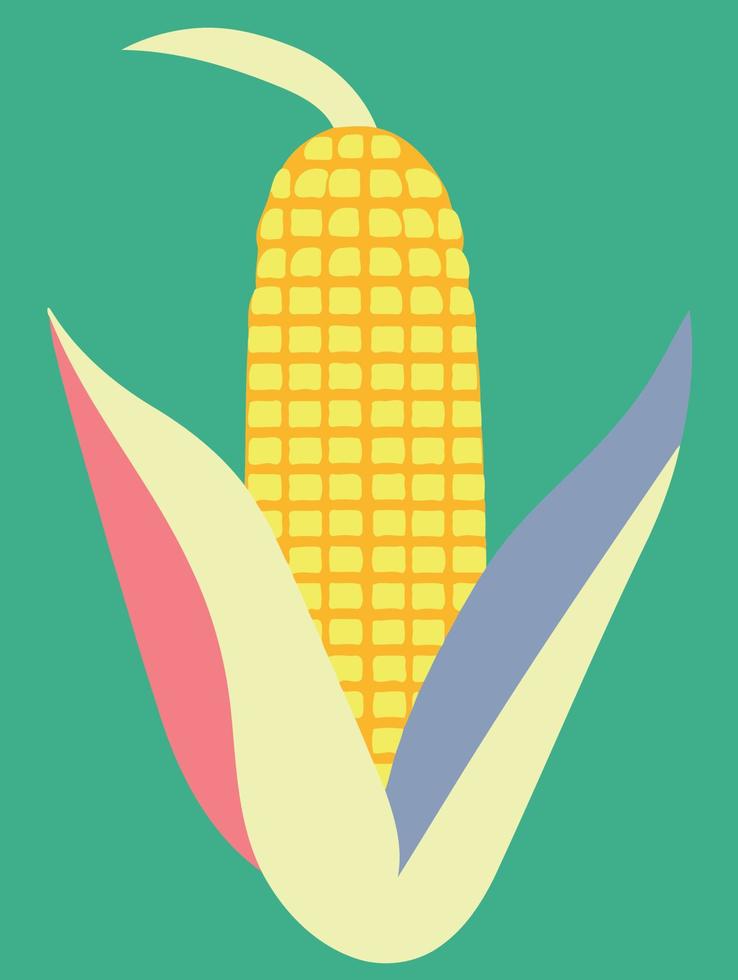 ripe corn on the cob vegetable food vector