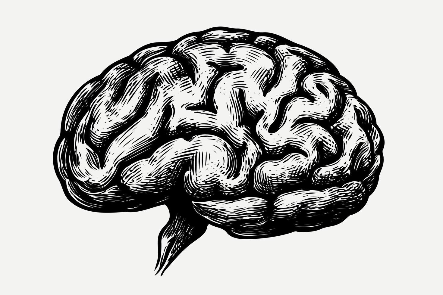 human nervous system brain organ vector