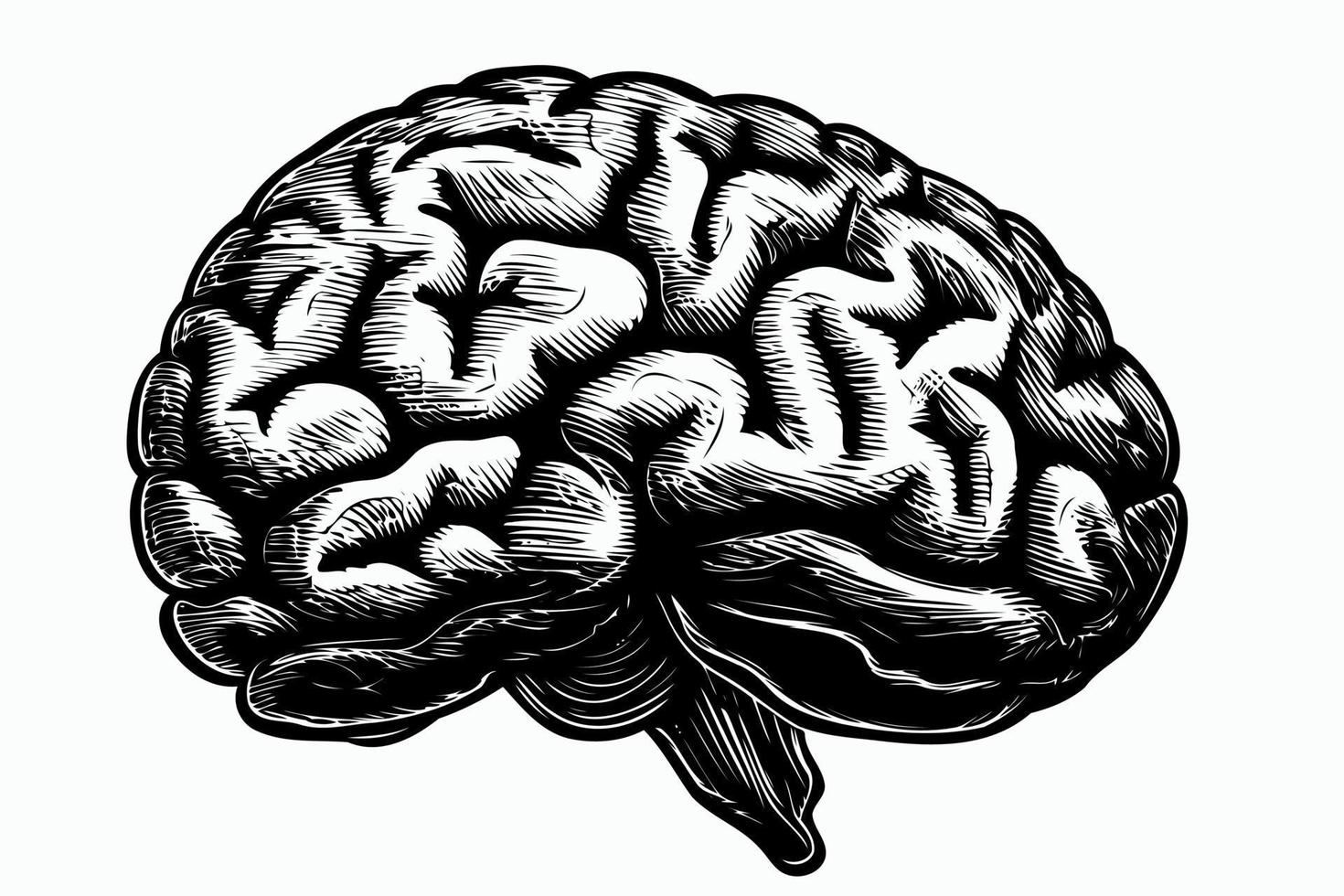 human nervous system brain organ vector