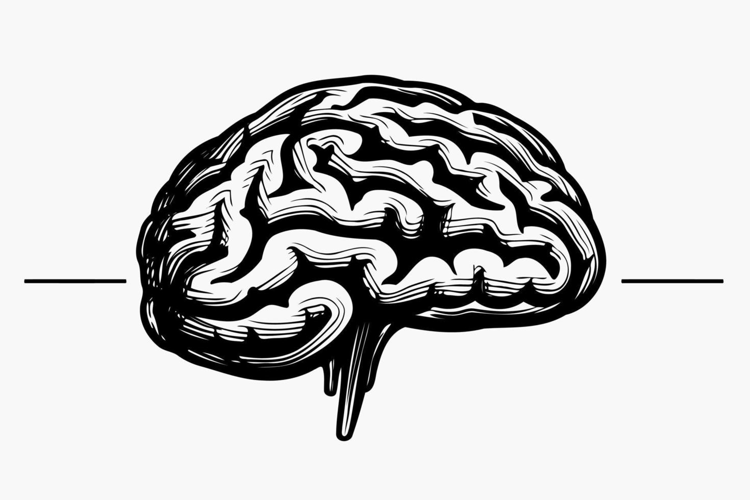 human nervous system brain organ vector
