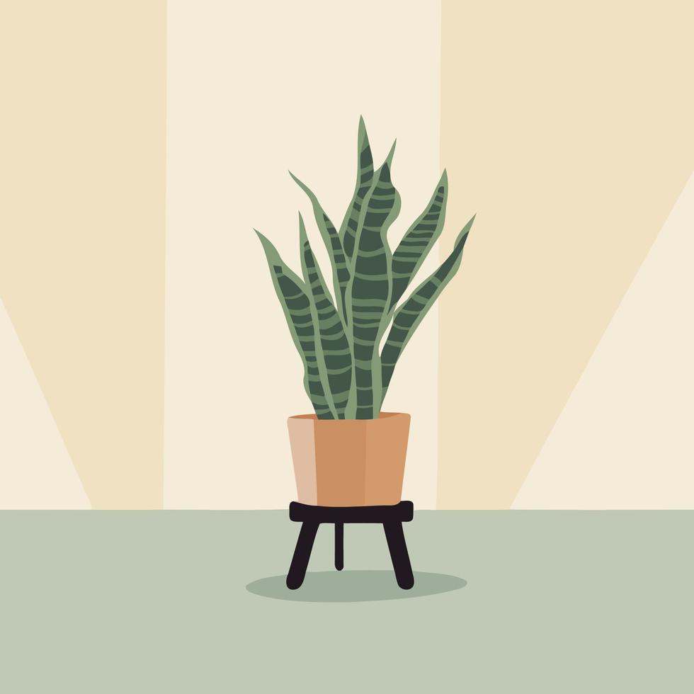 plant pot with snake plant vector