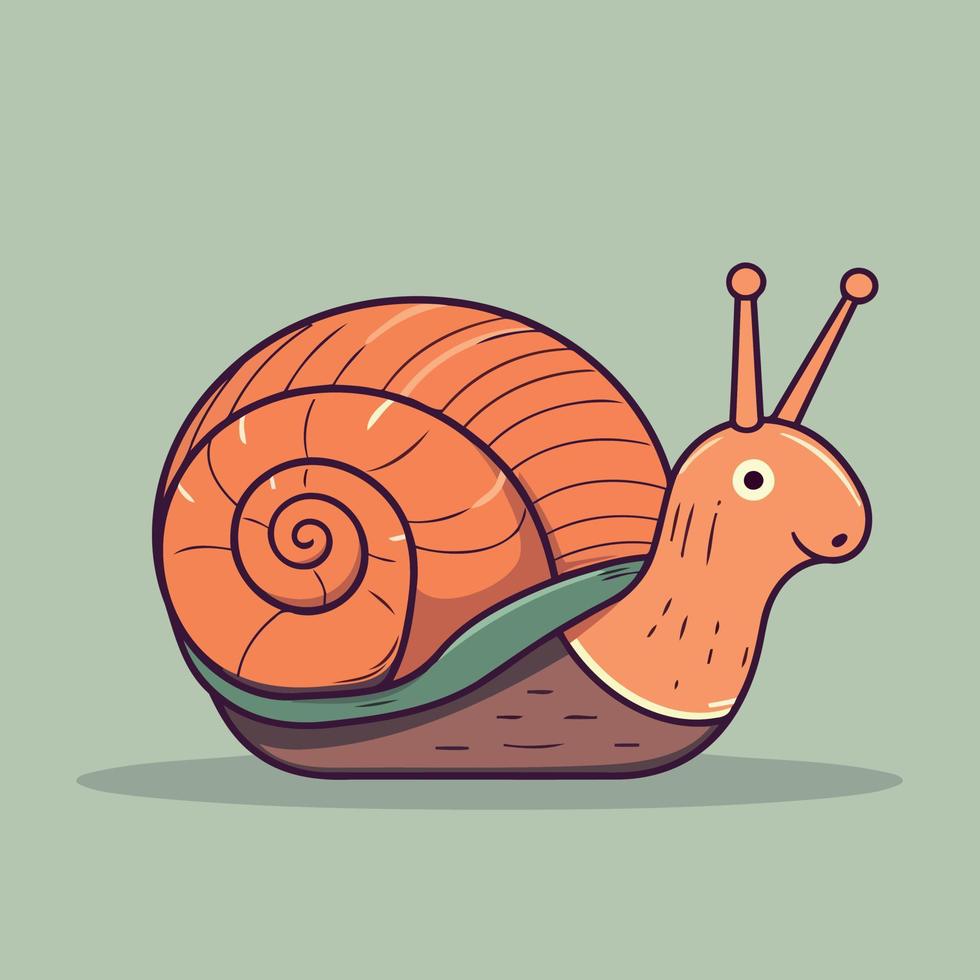 animal invertebrate snail vector