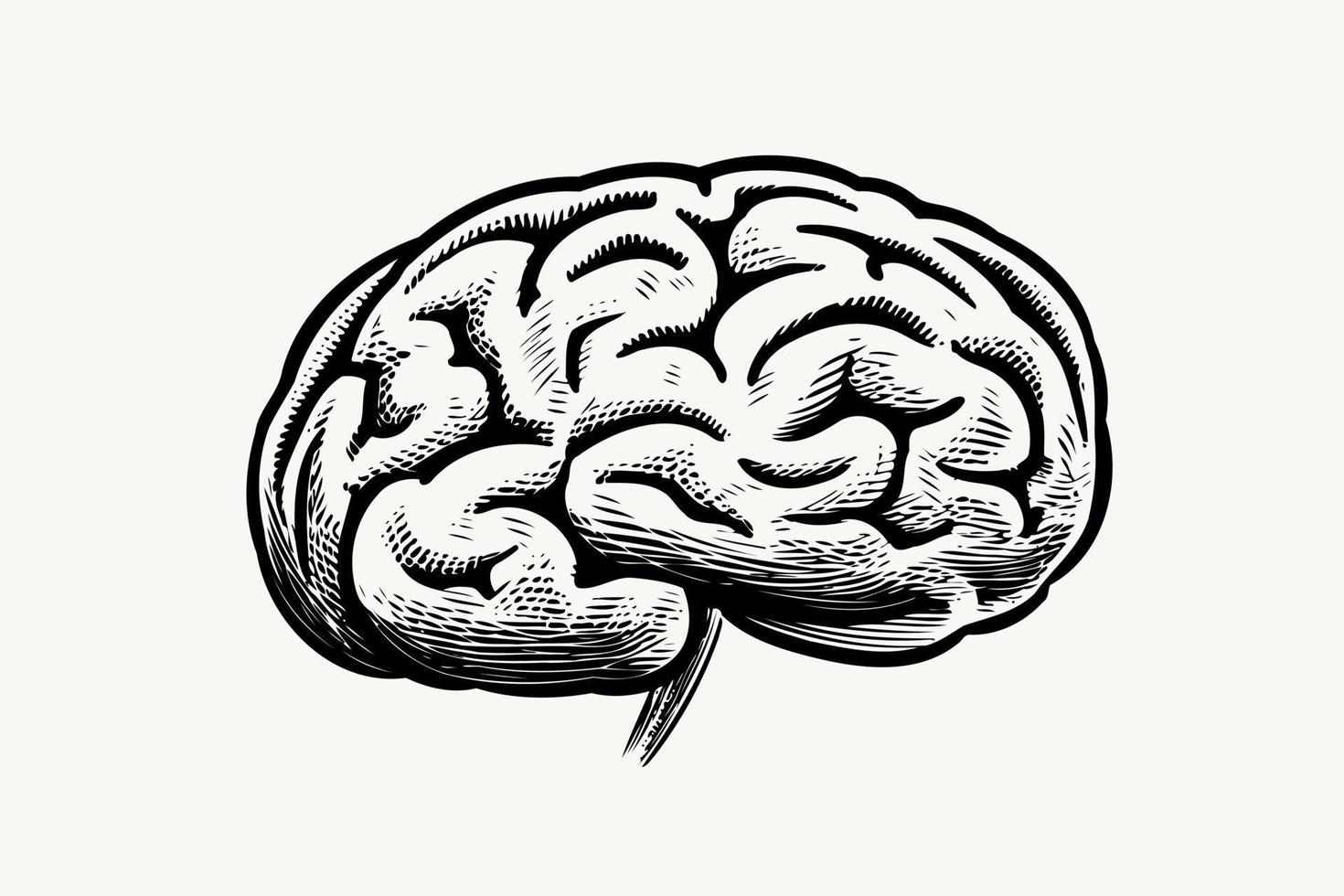 human nervous system brain organ vector