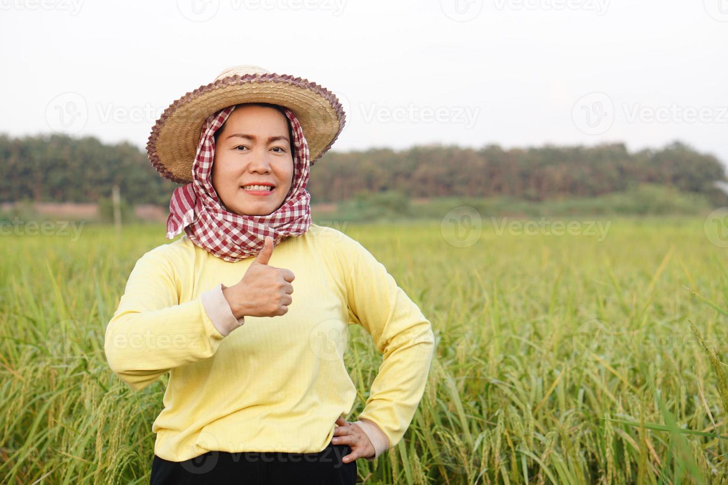 Happy Asian woman farmer is at paddy field, wears hat. Thai loincloth on head. Thumbs up. Concept agriculture occupation. Thai farmer. Satified in crops. Organic farming. photo