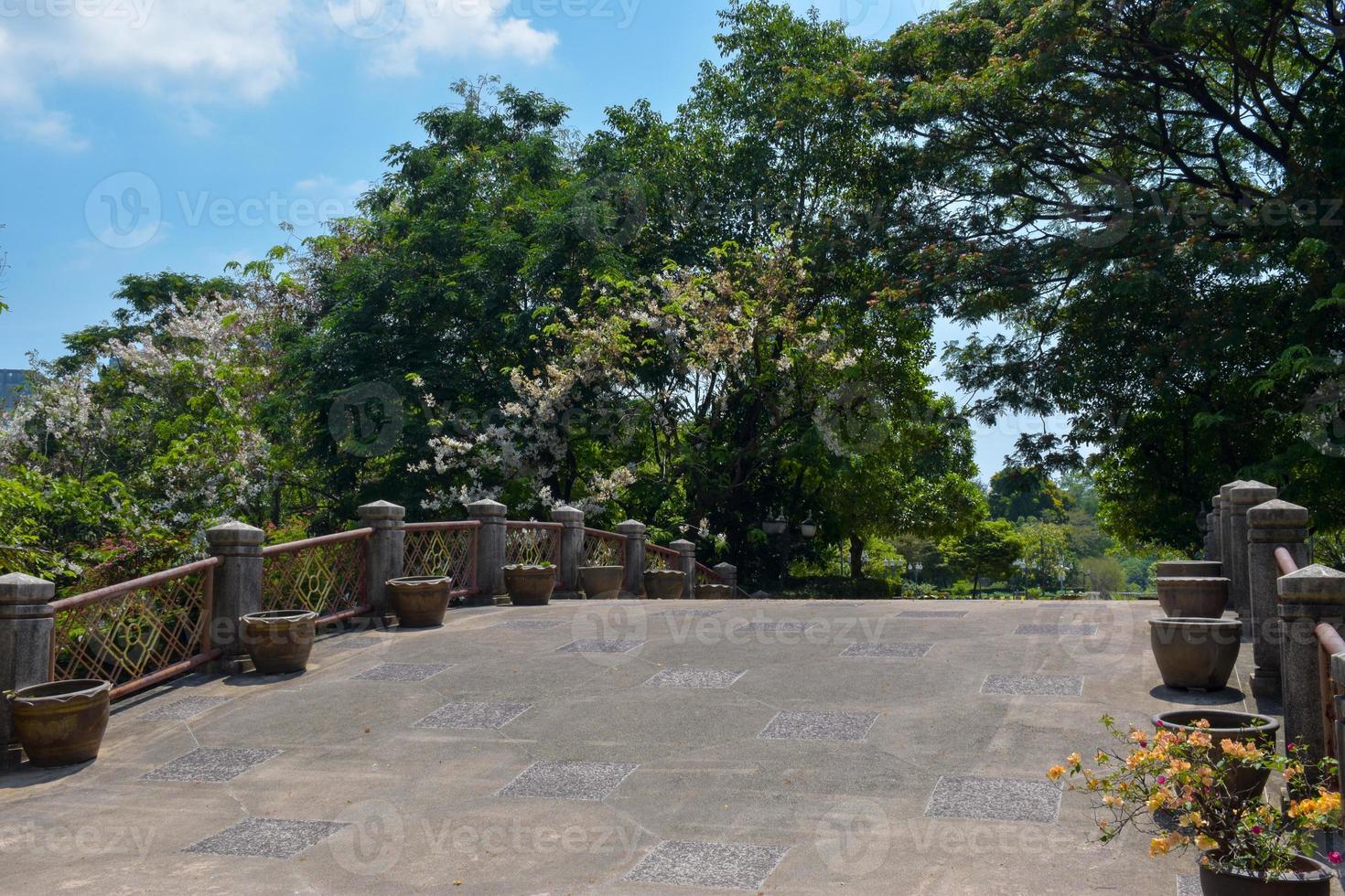 Bridges and flowering plants in summer in the Thai garden photo