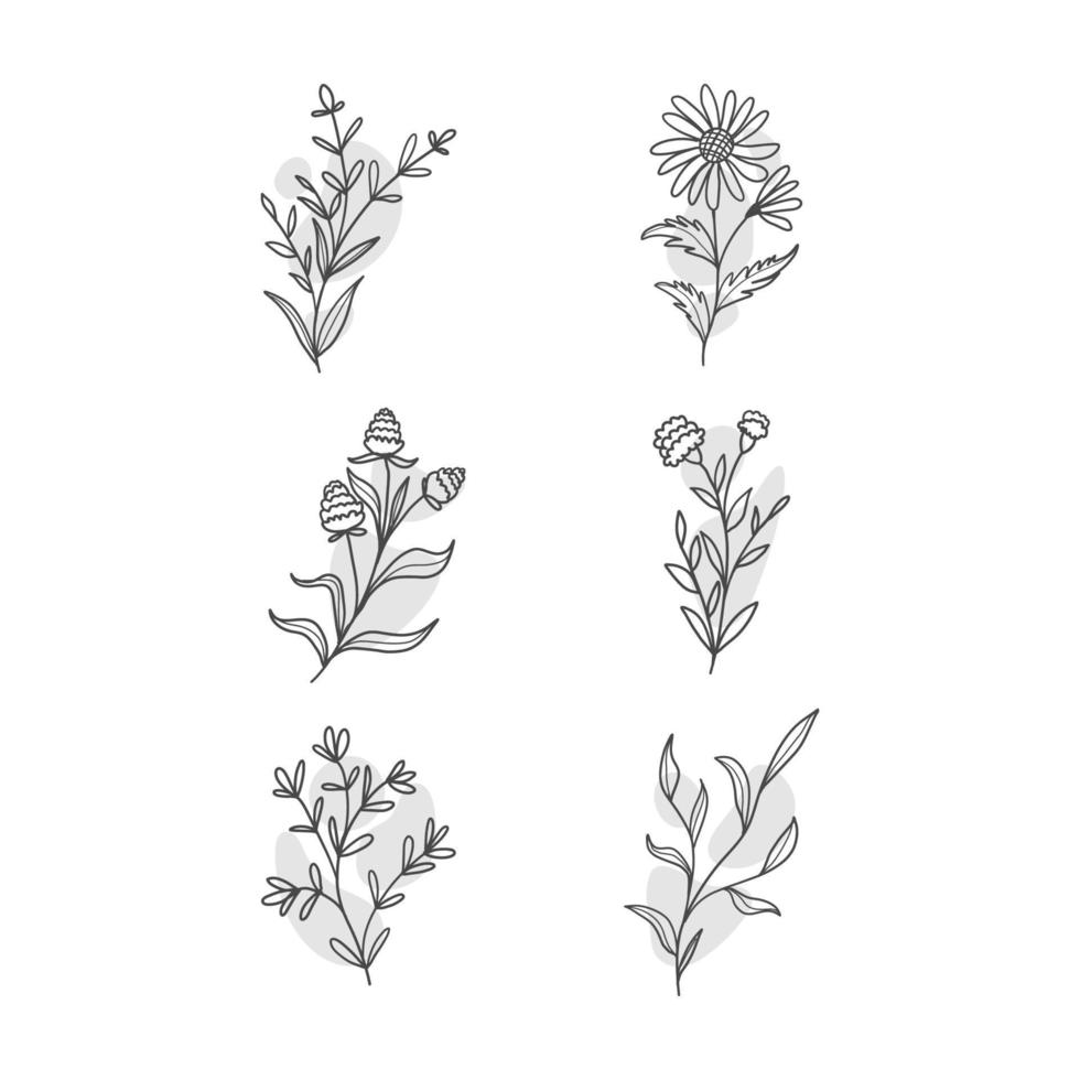 creative botanical leaf doodle wildflower line art vector