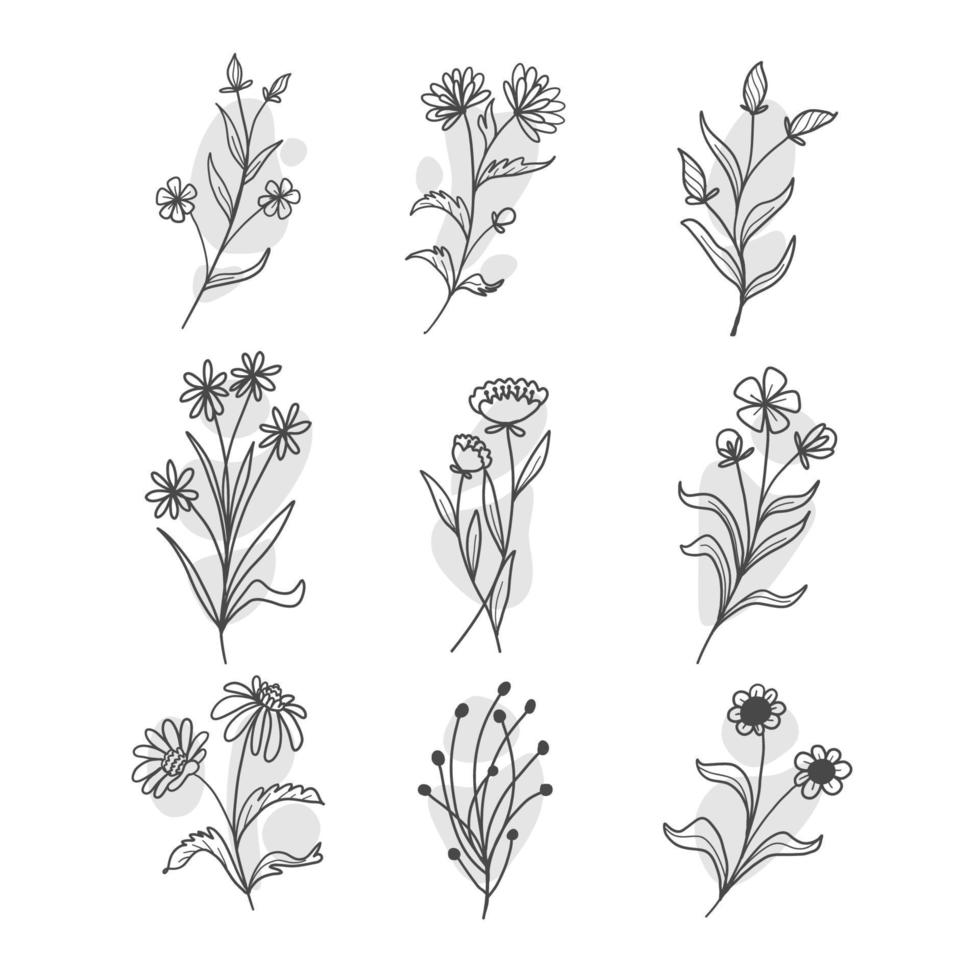 creative botanical leaf doodle wildflower line art in vector