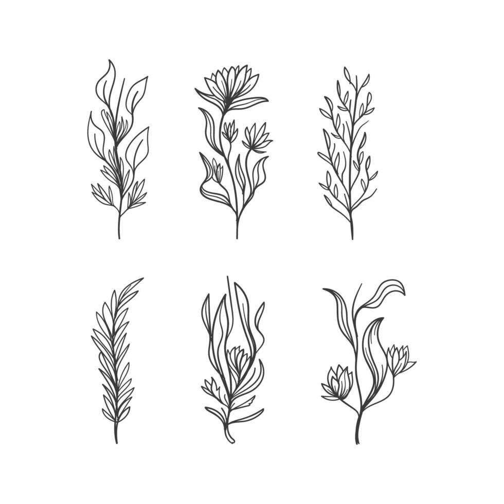 mano dibujado hierbas y flores en vector