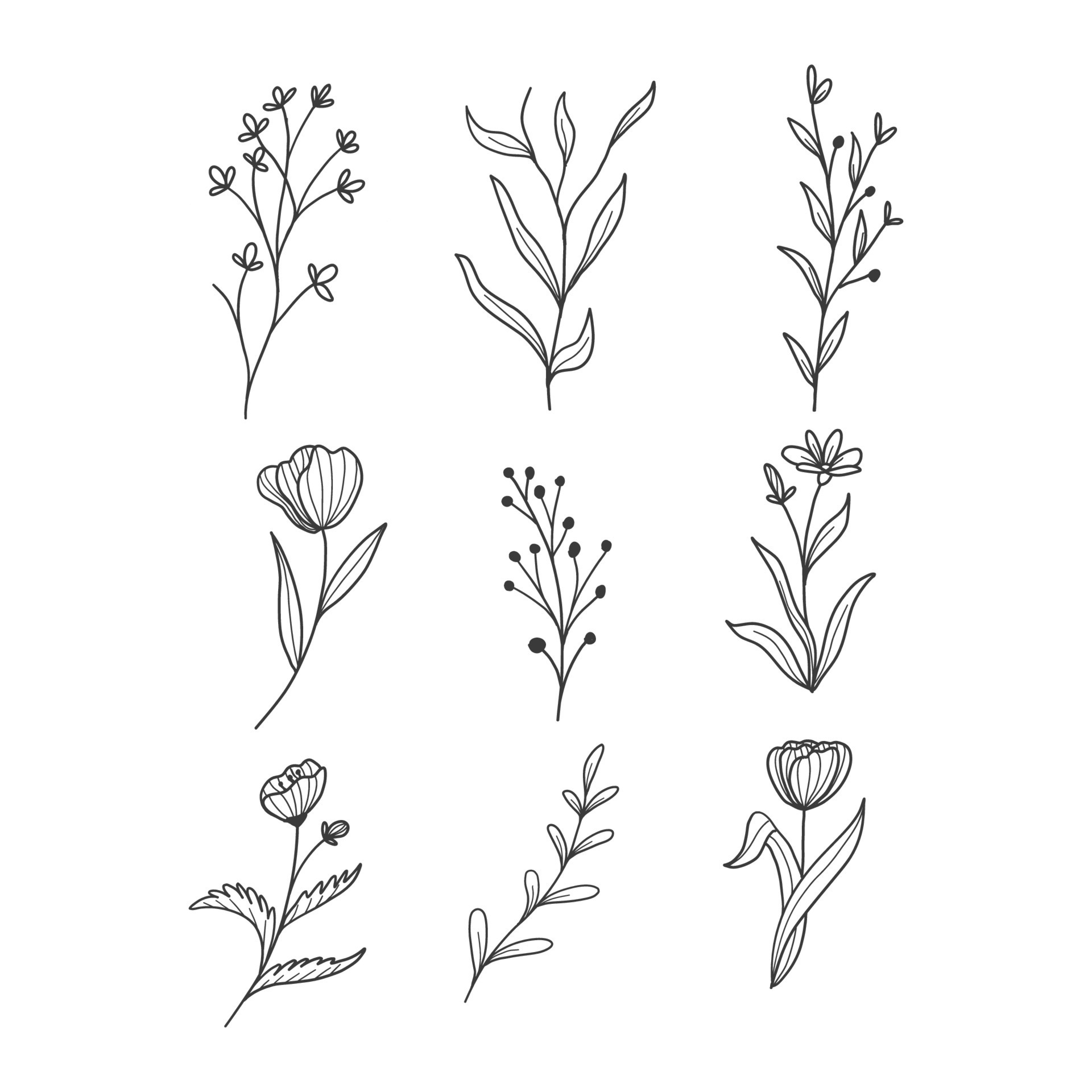 beautiful botanical leaf doodle wildflower line art in vector 22873790 ...