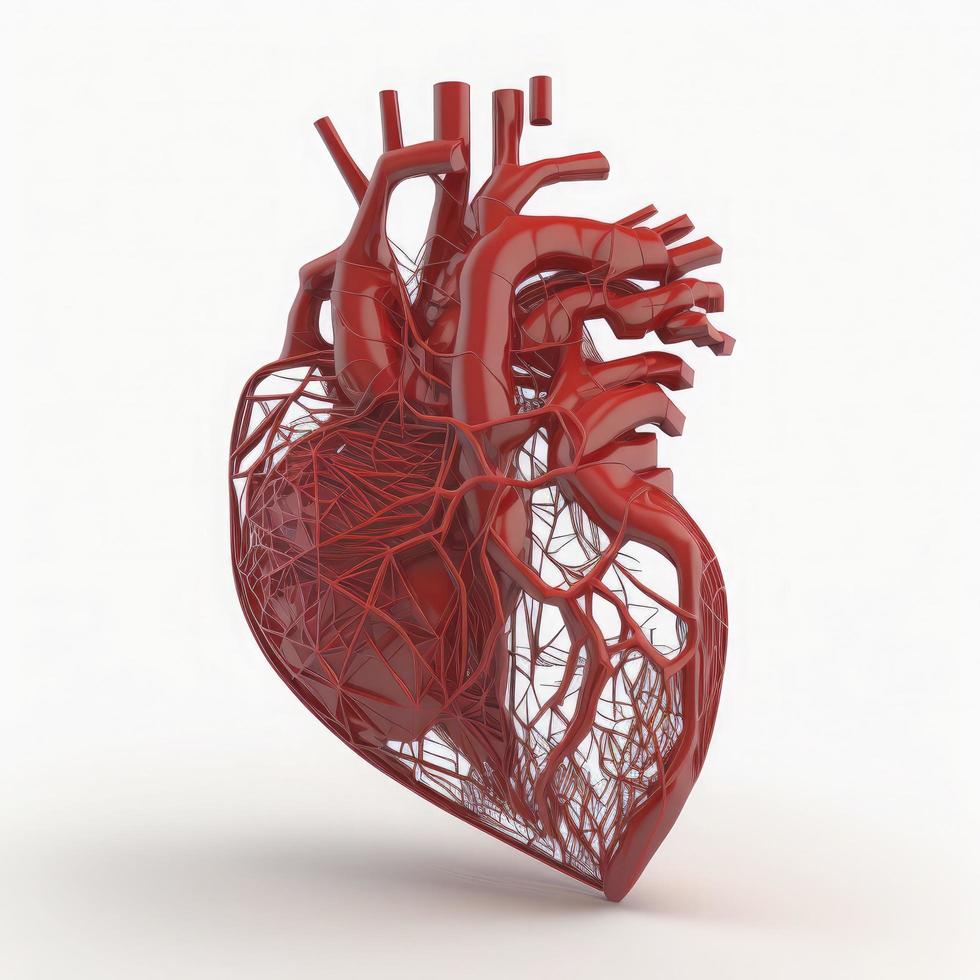 rojo color, humano corazón estructura metálica en blanco antecedentes foto