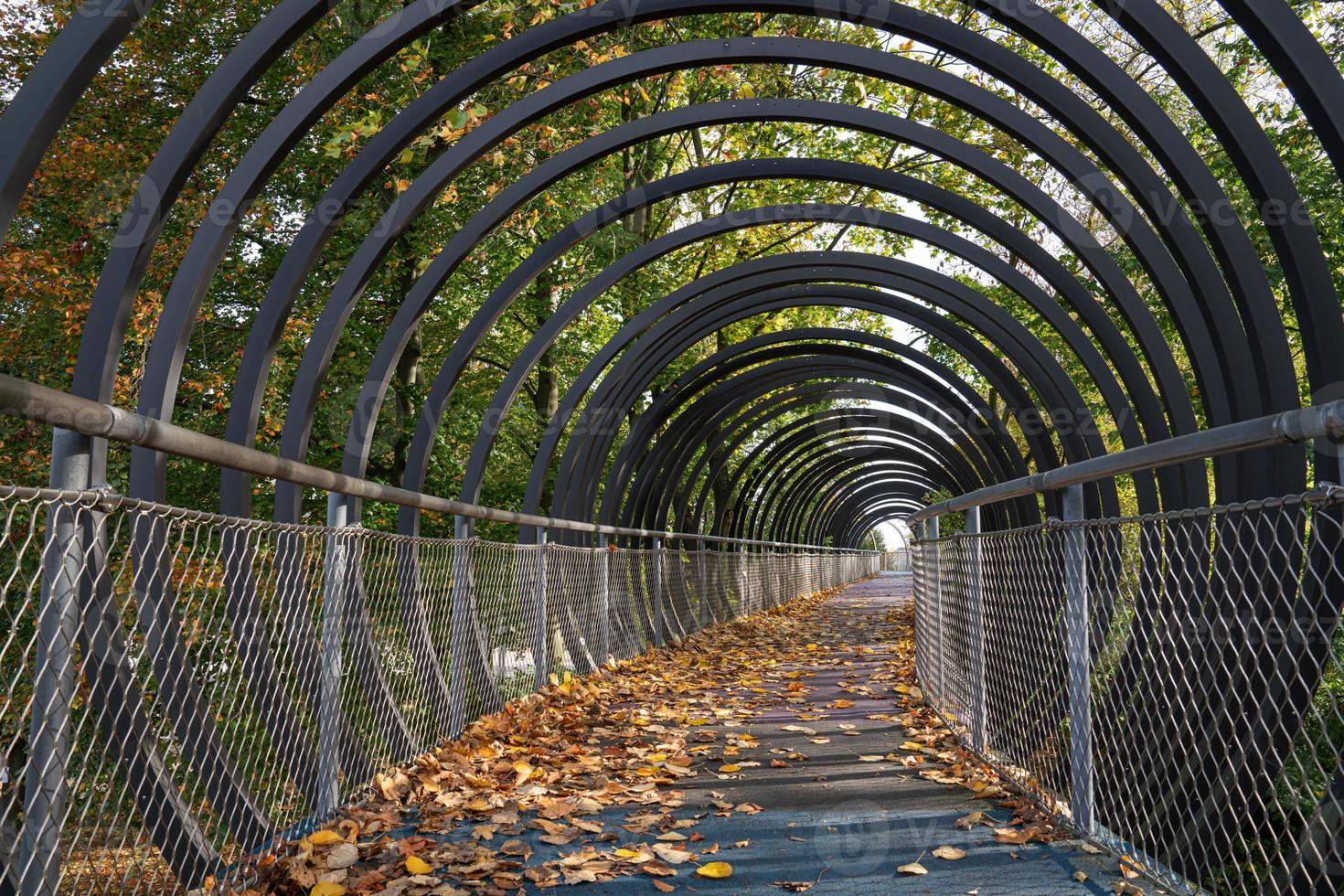 Bridge Slinky Springs to Fame, Oberhausen, Germany photo