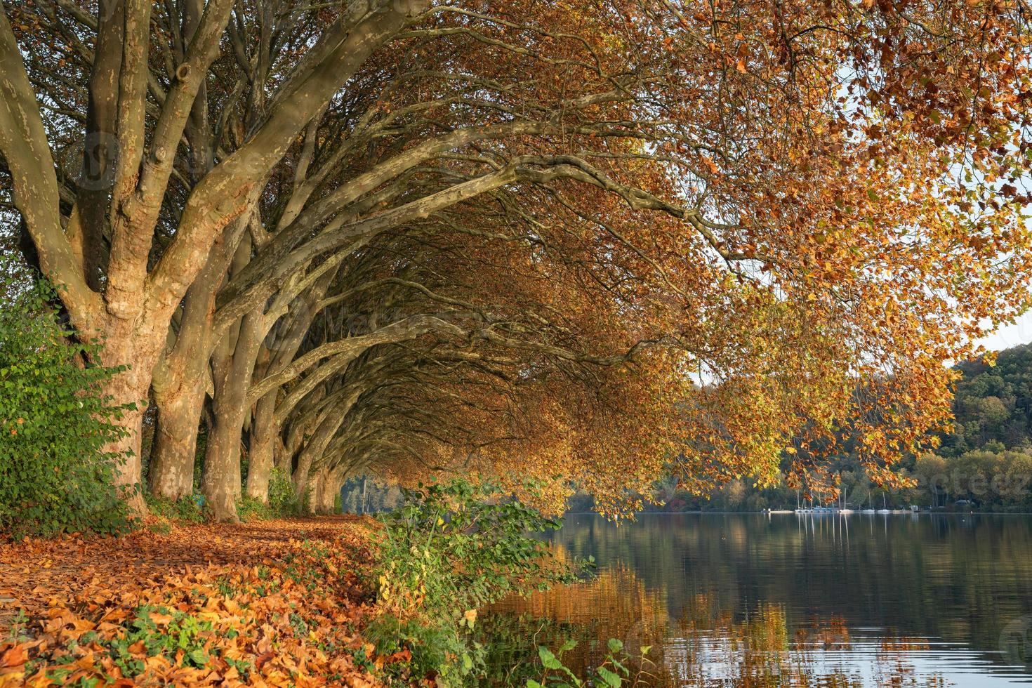 Baldeney lake, Essen, North Rhine Westphalia, Germany photo