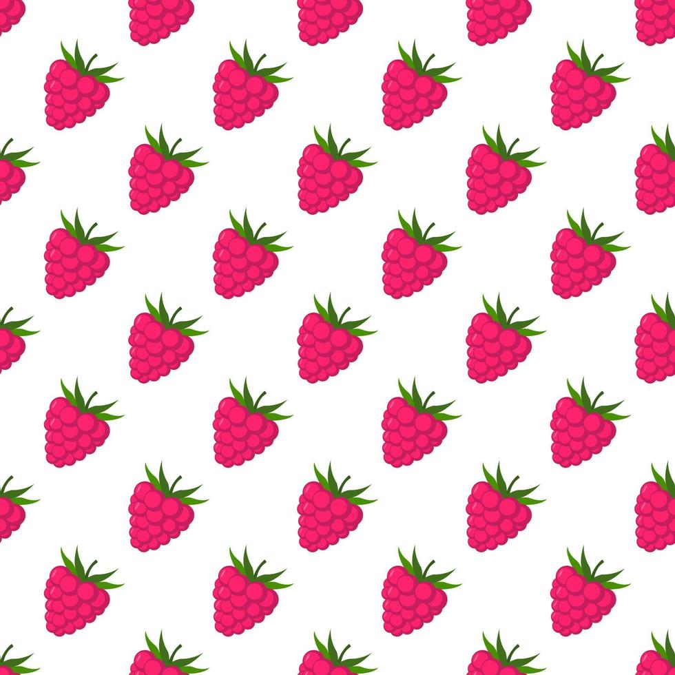 Seamless pattern of raspberries white background. vector