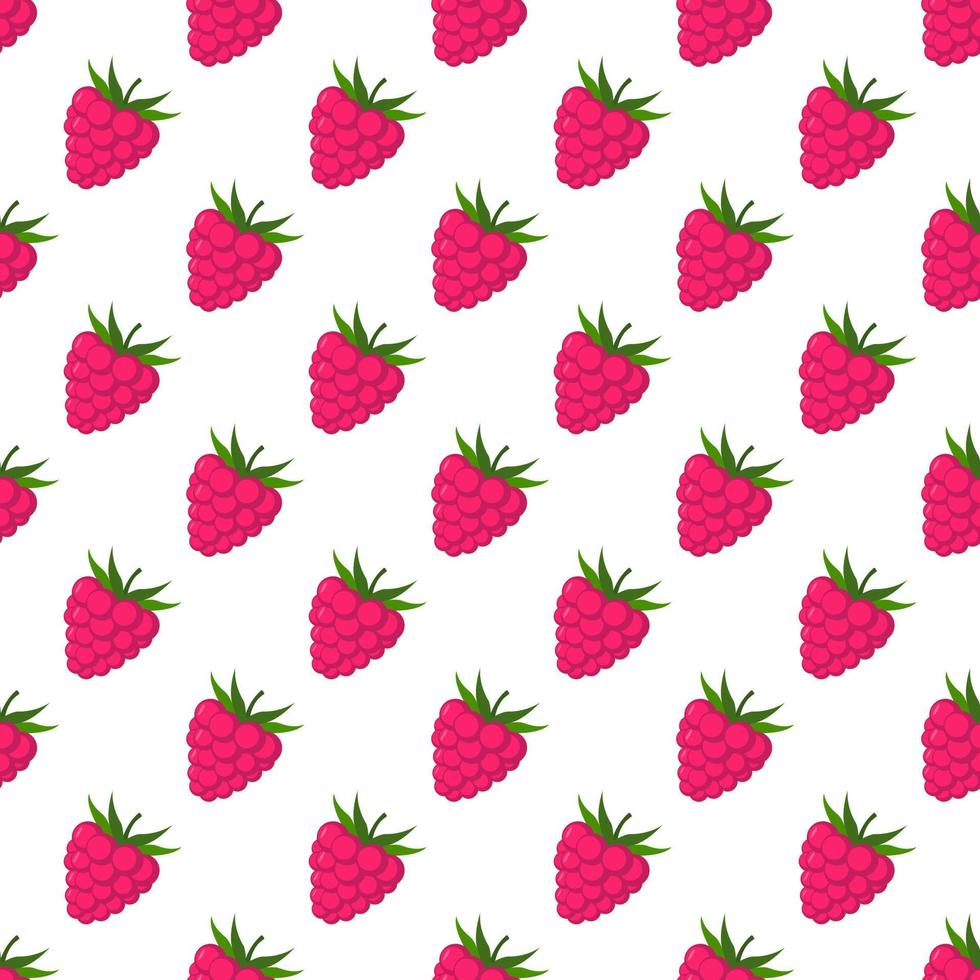 Seamless pattern of raspberries white background. vector