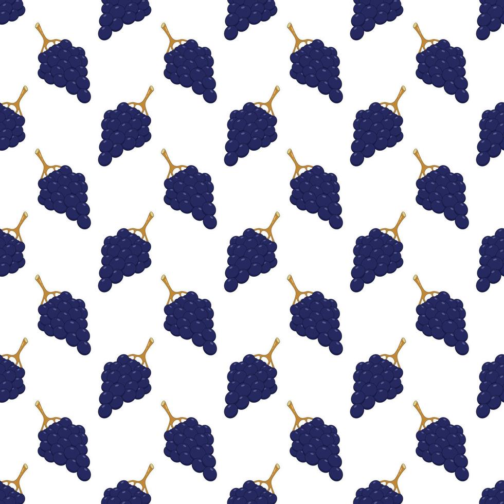 Seamless pattern with blue grapes on a white background. vector