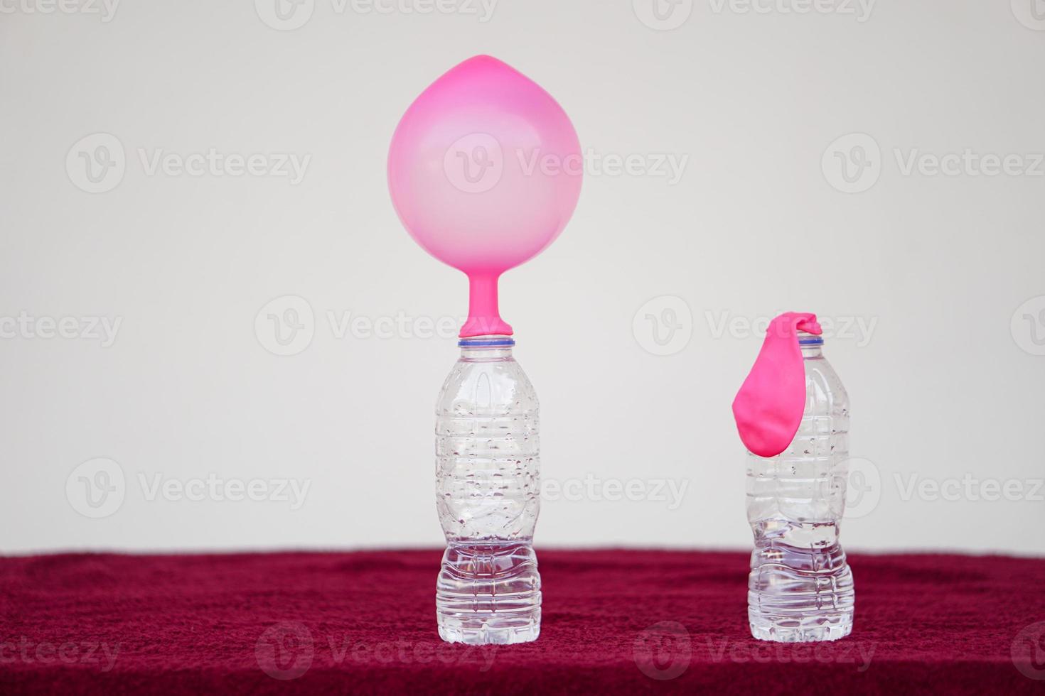 Science experiment , pink inflated balloons and flat balloon  on top of transparent test bottles. Concept, science experiment about reaction of chemical substance, vinegar and baking soda. photo