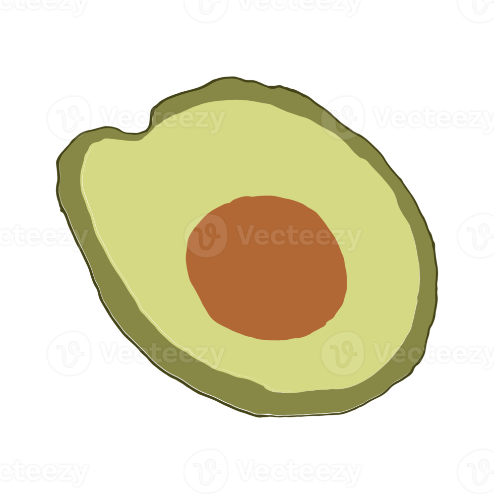 Avocado fruit hand drawing. Half avocado isolated png