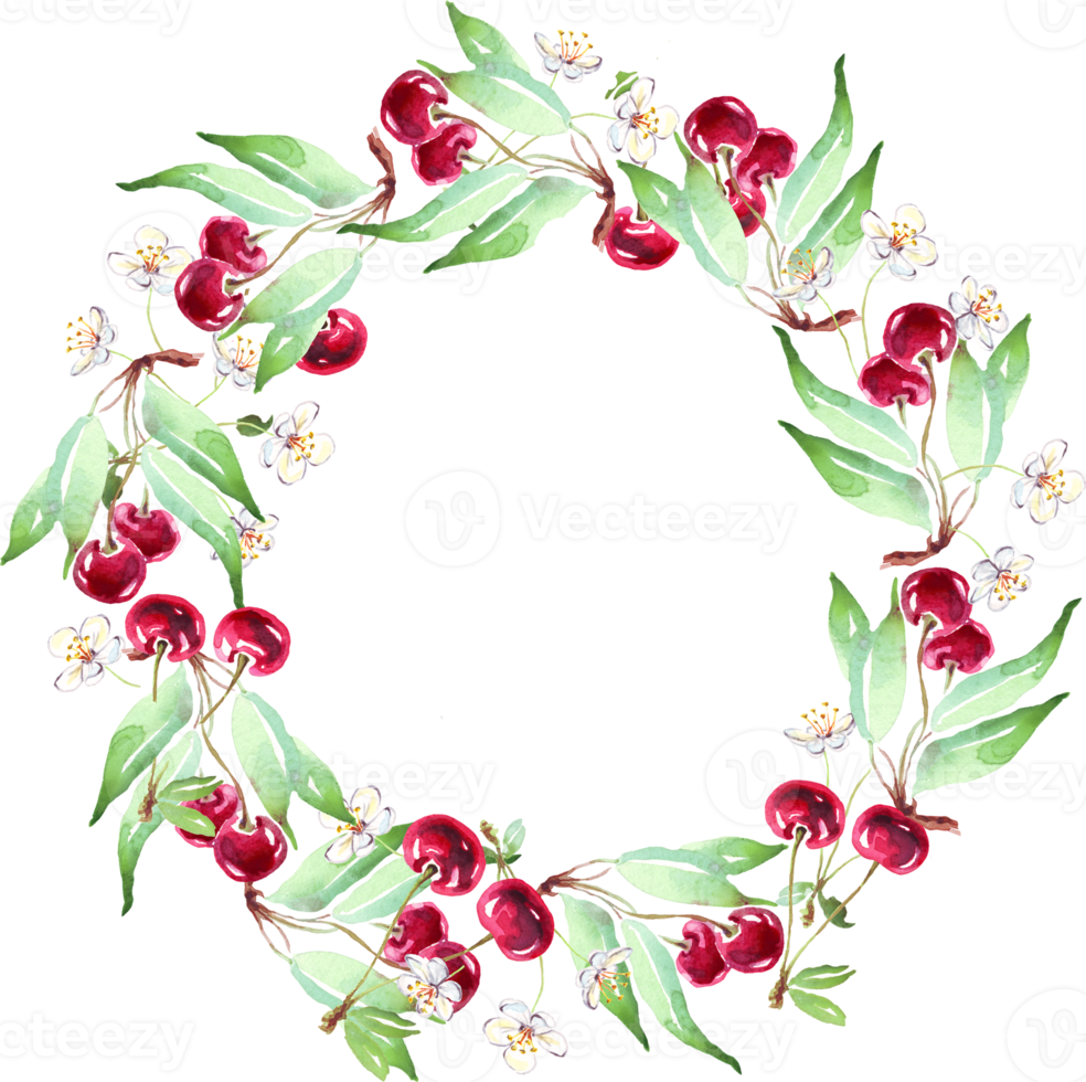 Cherry wreath. Watercolor clipart png