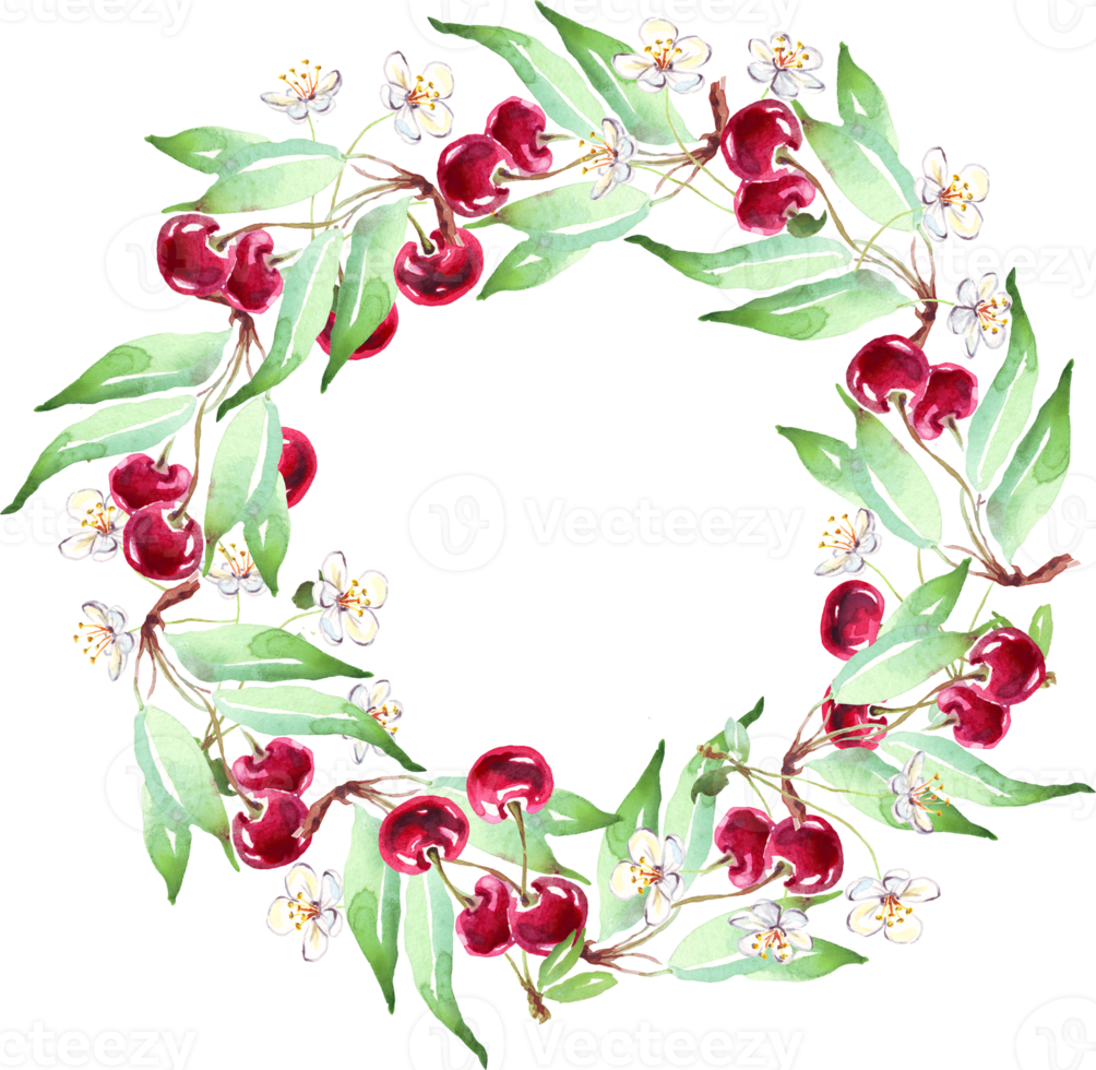 Cherry wreath. Watercolor clipart png