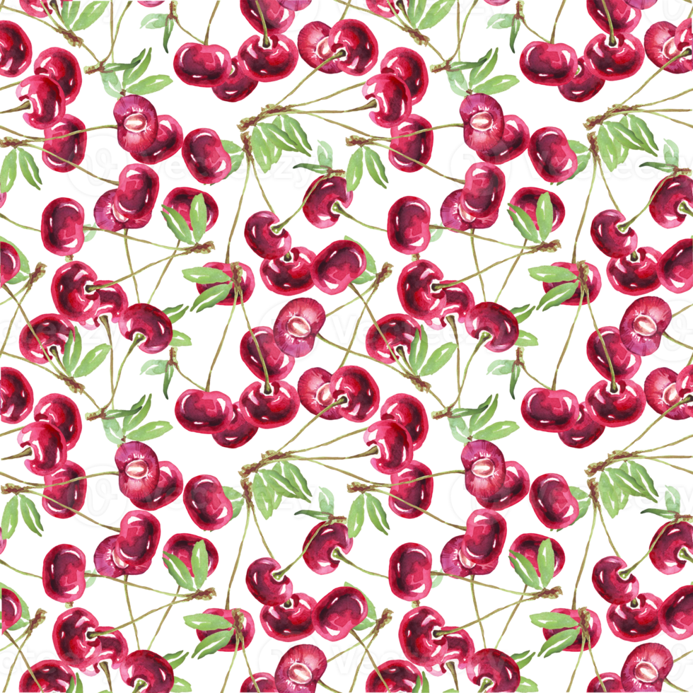 Cherry pattern. Watercolor illustration png