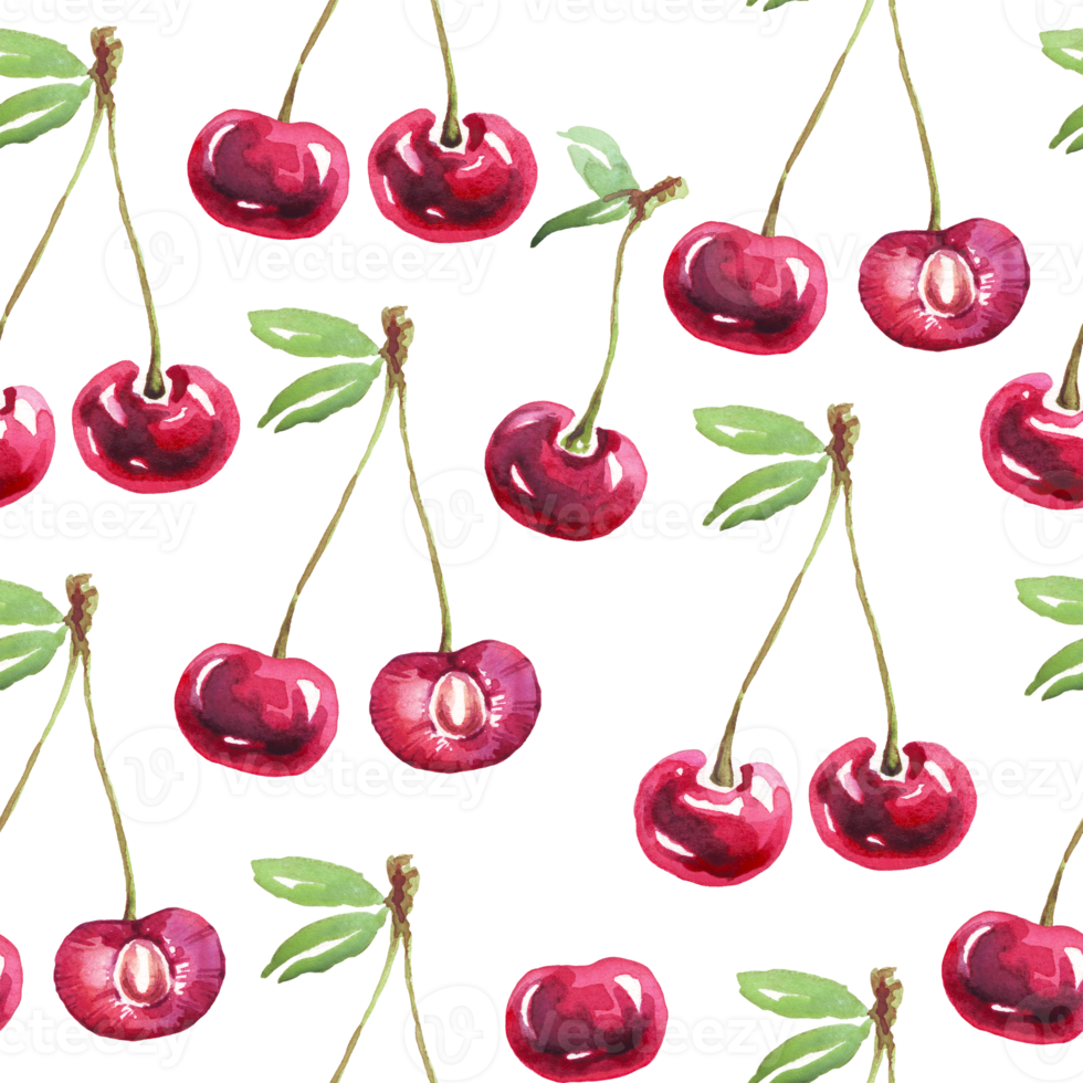 Cherry pattern. Watercolor illustration png