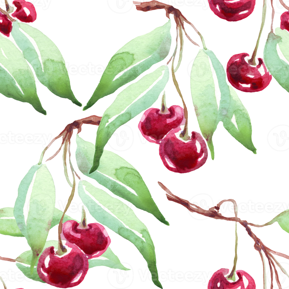 Cherry pattern. Watercolor illustration png