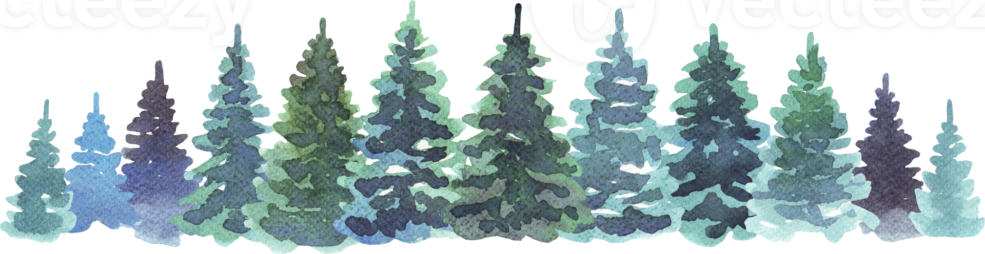 Forest. Watercolor illustration png