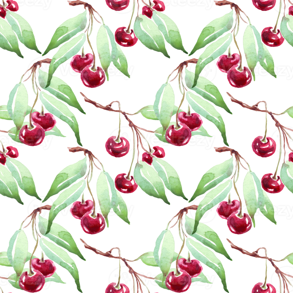 Cherry pattern. Watercolor illustration png