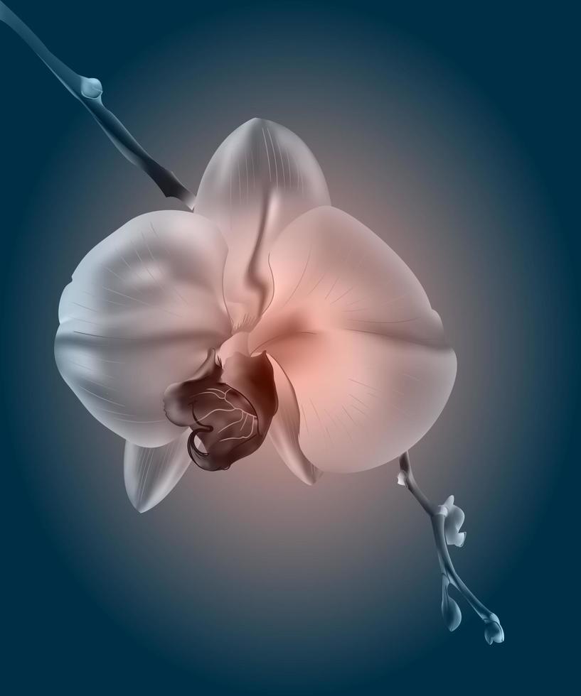 Beautiful orchid flowers. Vintage card. Sad mood. vector