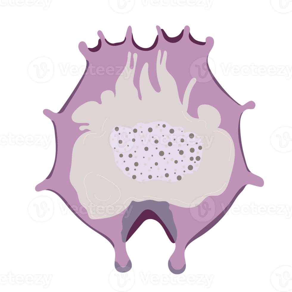 Plankton, Wasser Floh, Zooplankton Symbol. bunt Karikatur süß Tier Symbol isoliert png