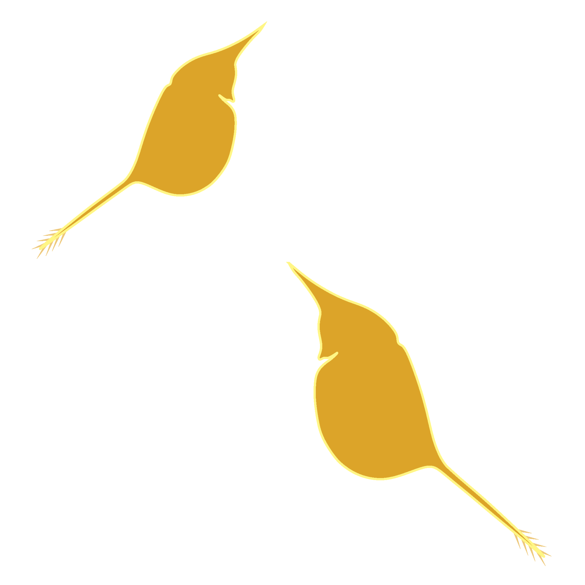 Zooplankton adalah