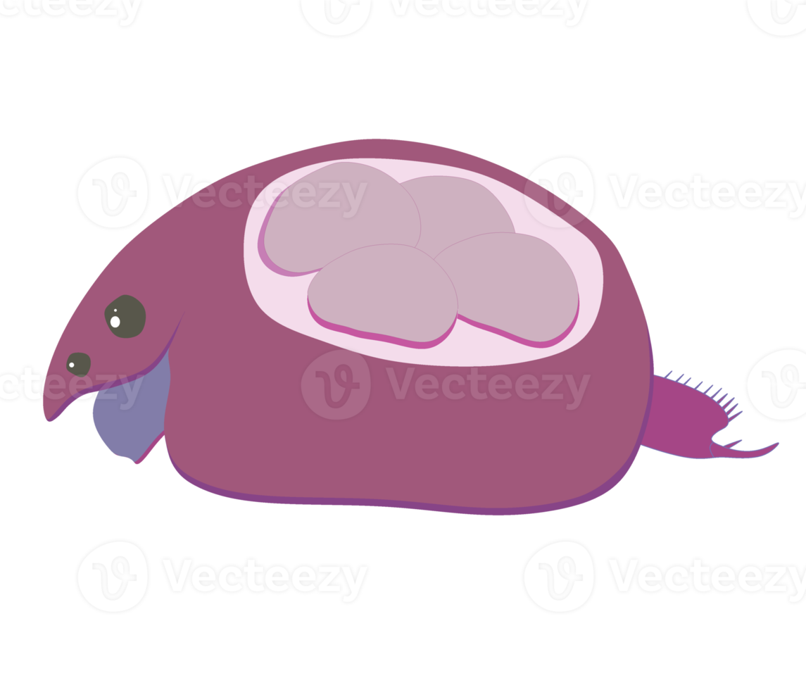 Plankton, water flea, zooplankton icon. Colorful cartoon cute animal icon isolated png