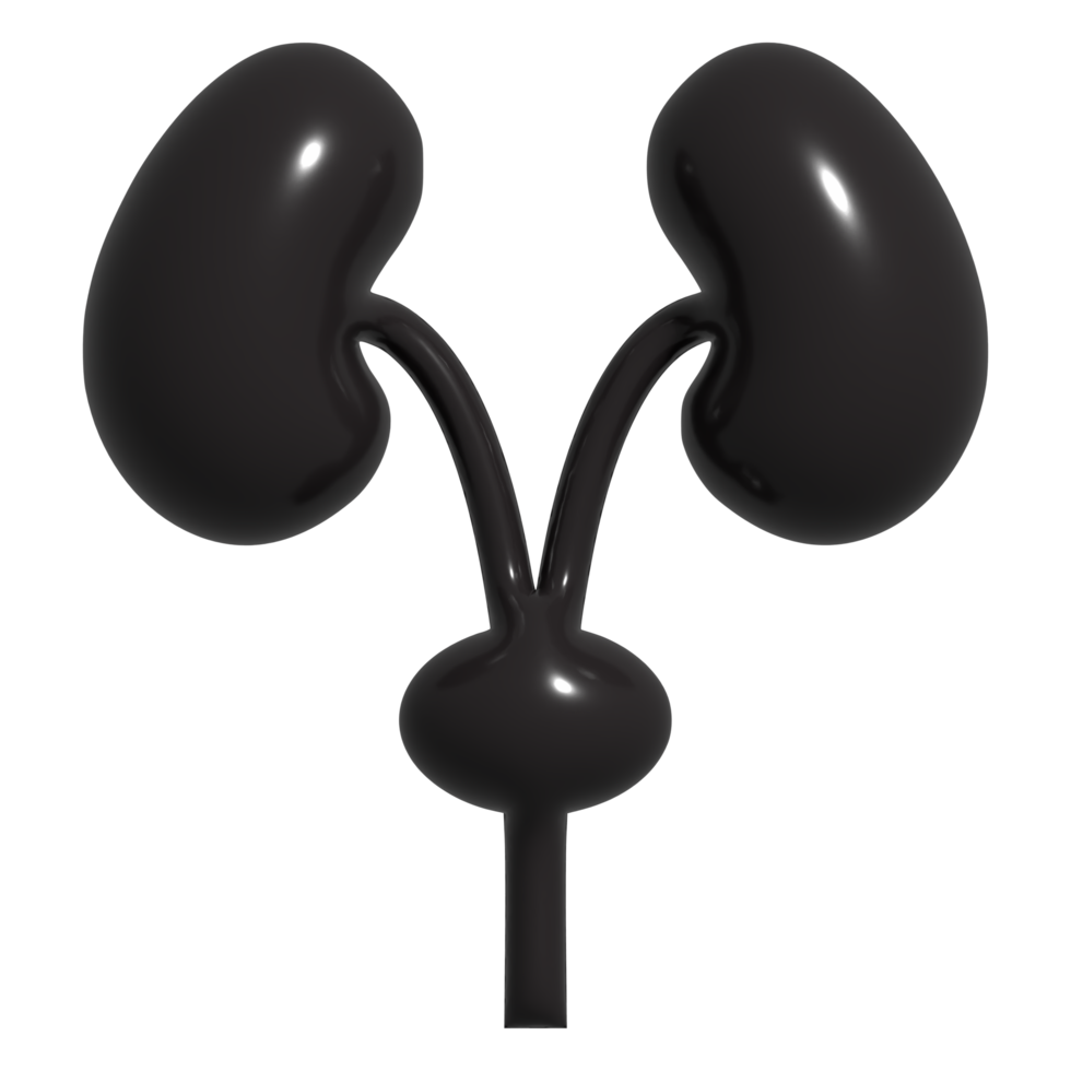 3d icon of kidney png