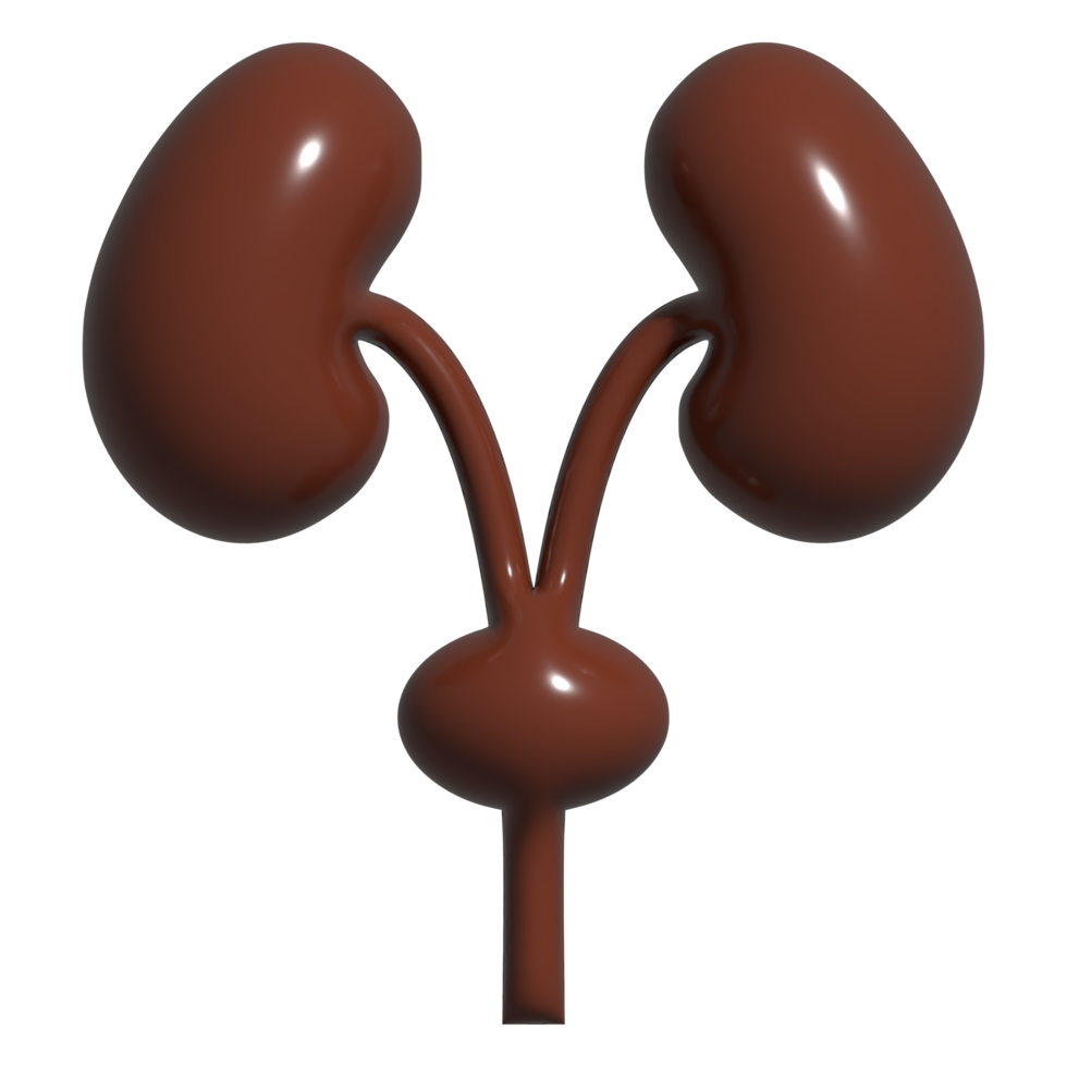 3d icon of kidney png